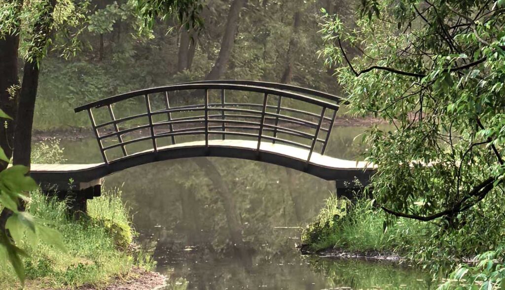 curved bridge over water