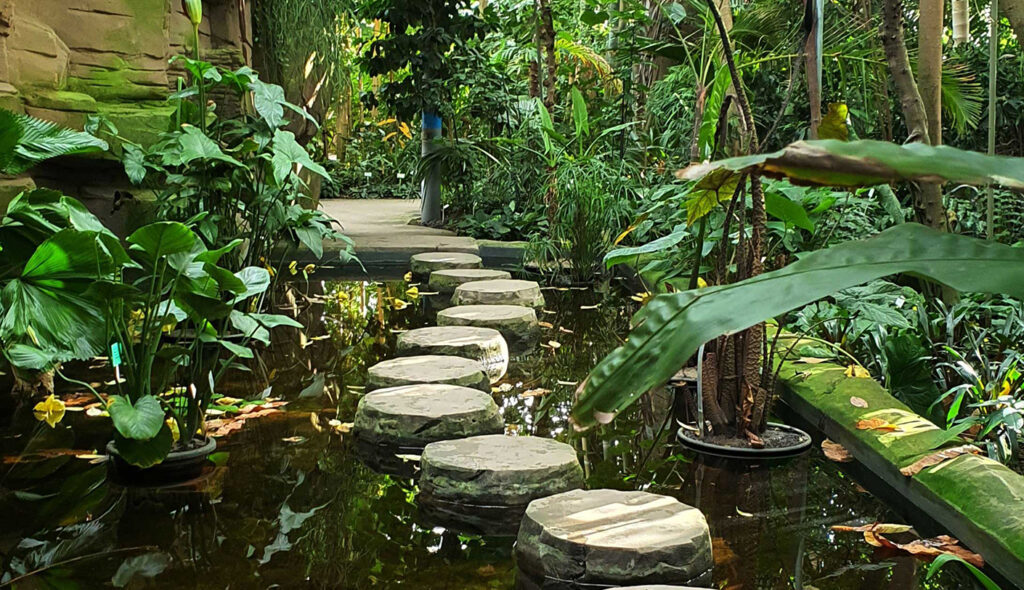 stone circle steps across water m