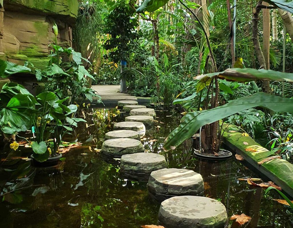 stone walkway over water