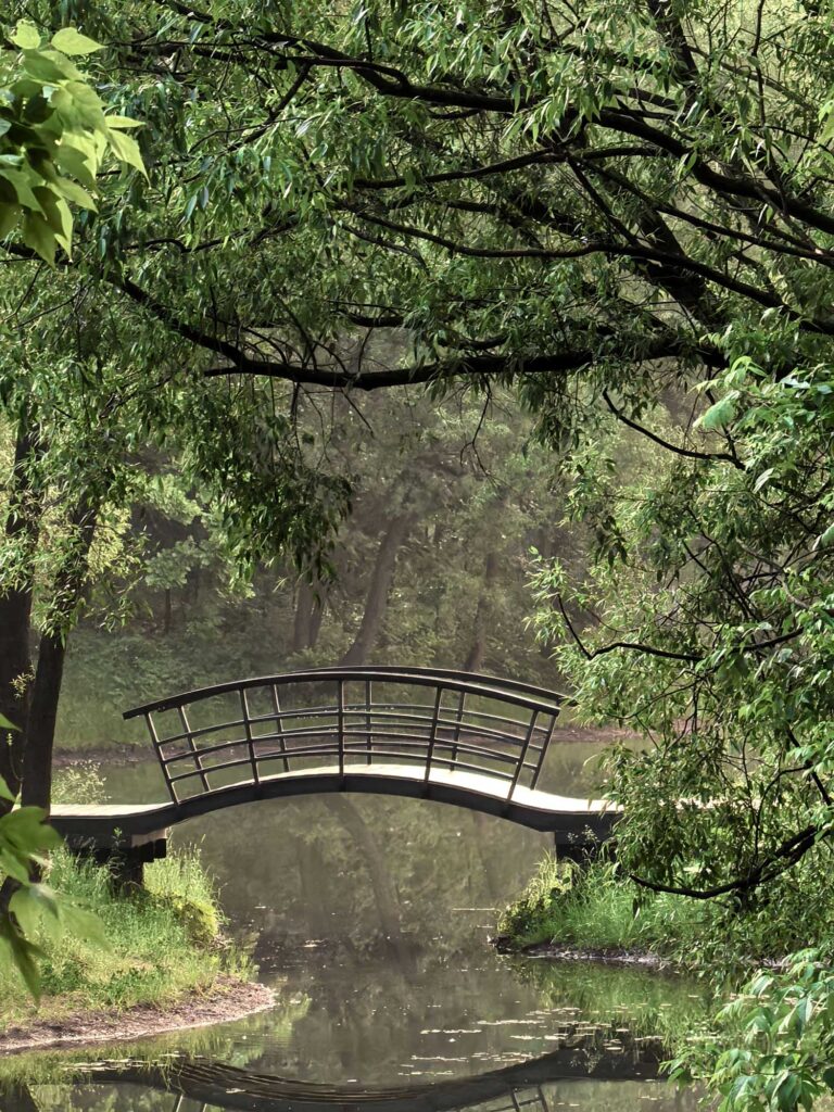 small curved bridge